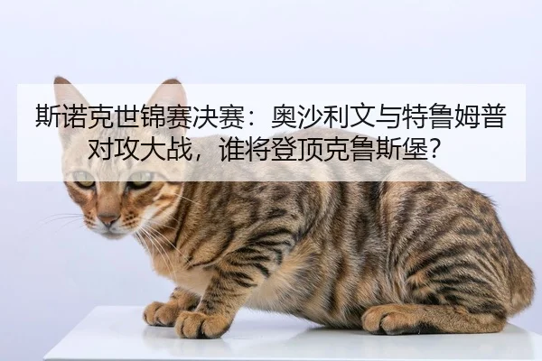 斯诺克世锦赛决赛：奥沙利文与特鲁姆普对攻大战，谁将登顶克鲁斯堡？