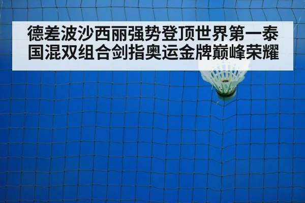 badminton net play