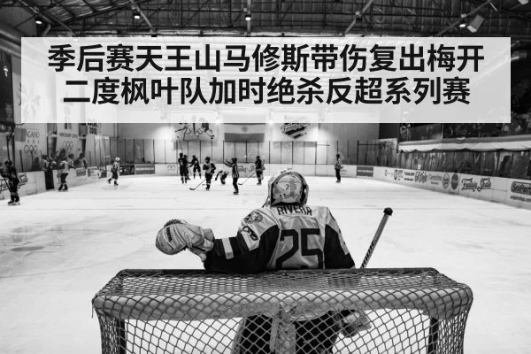ice hockey playoff action